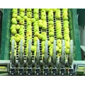 Plants: image 1 0f 10 thumb